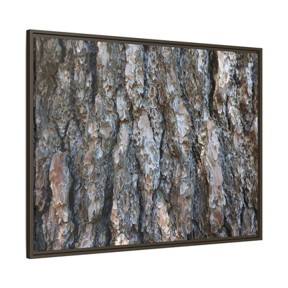 Bark Whispers - Unique Stretched Canvas Wall Art - Art By Earth
