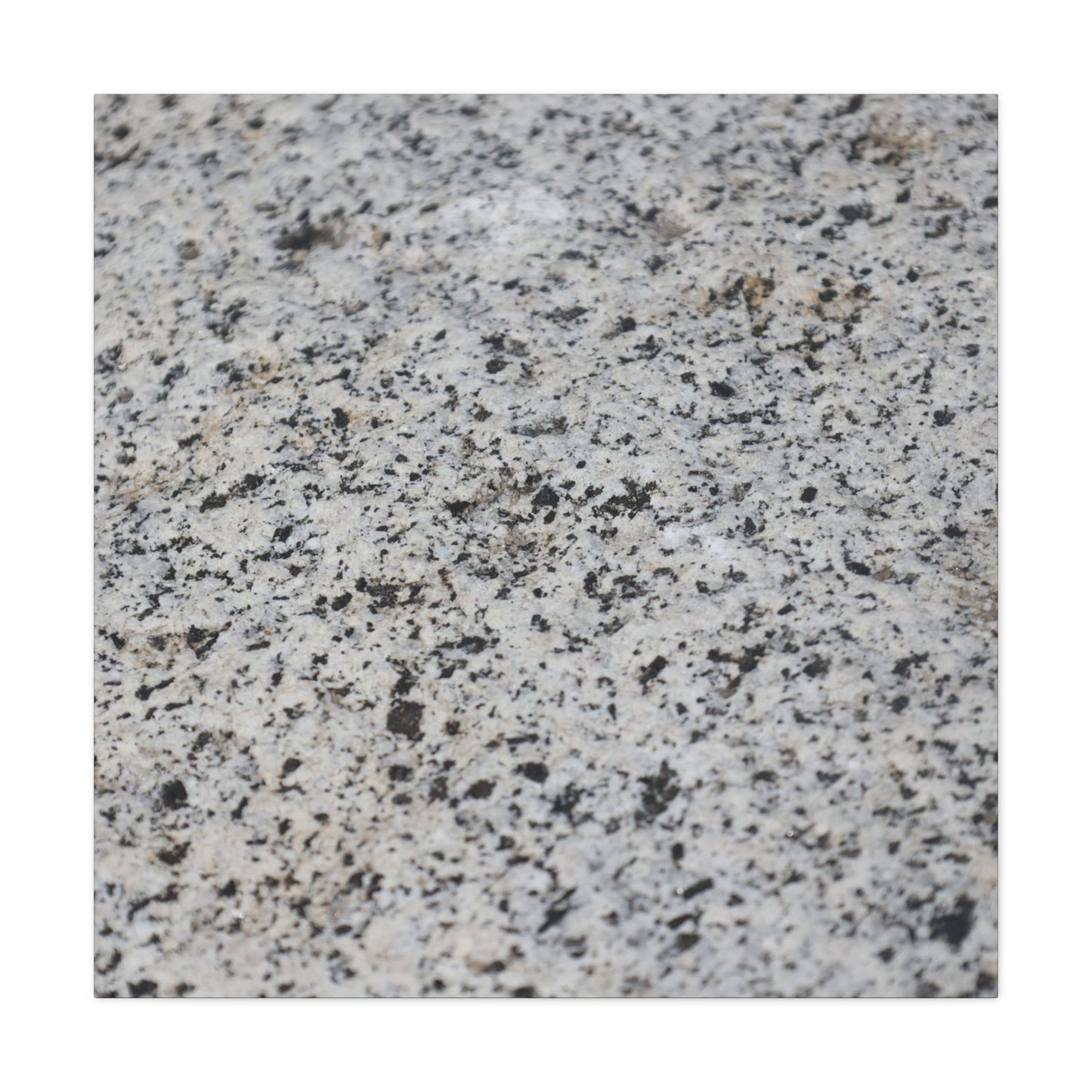 Speckled Silence - Unique Frameless Canvas Wall Art - Art By Earth