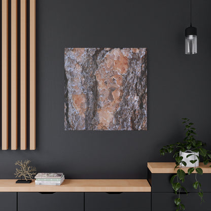 Terracotta Textures - Unique Frameless Canvas Wall Art - Art By Earth