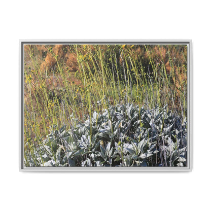 Arid Landscape with Yellow Flowers - Unique Stretched Canvas Wall Art - Art By Earth