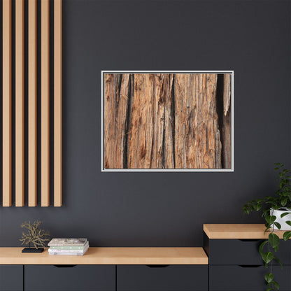 Timber Echoes - Unique Stretched Canvas Wall Art - Art By Earth