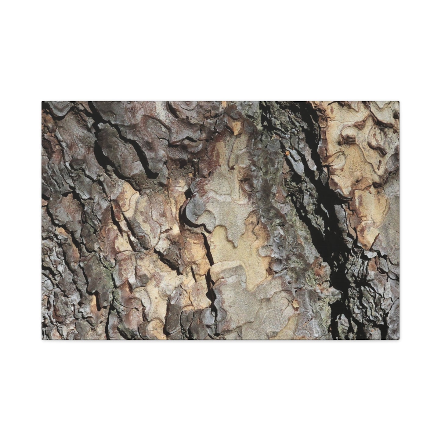 Tree Bark Symphony - Unique Frameless Canvas Wall Art - Art By Earth