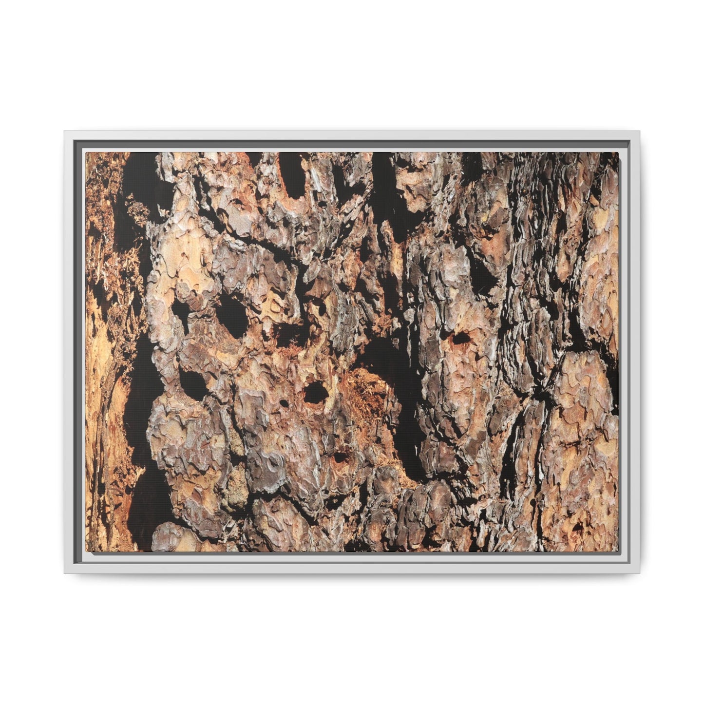 Rugged Rhythms - Unique Stretched Canvas Wall Art - Art By Earth