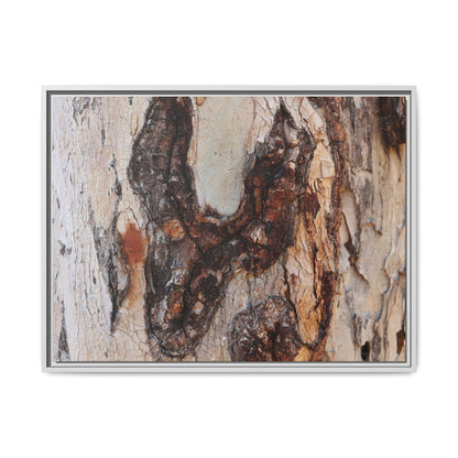 Texture of Time - Unique Stretched Canvas Wall Art - Art By Earth