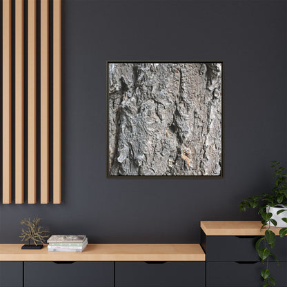 Crusty Exterior - Unique Stretched Canvas Wall Art - Art By Earth