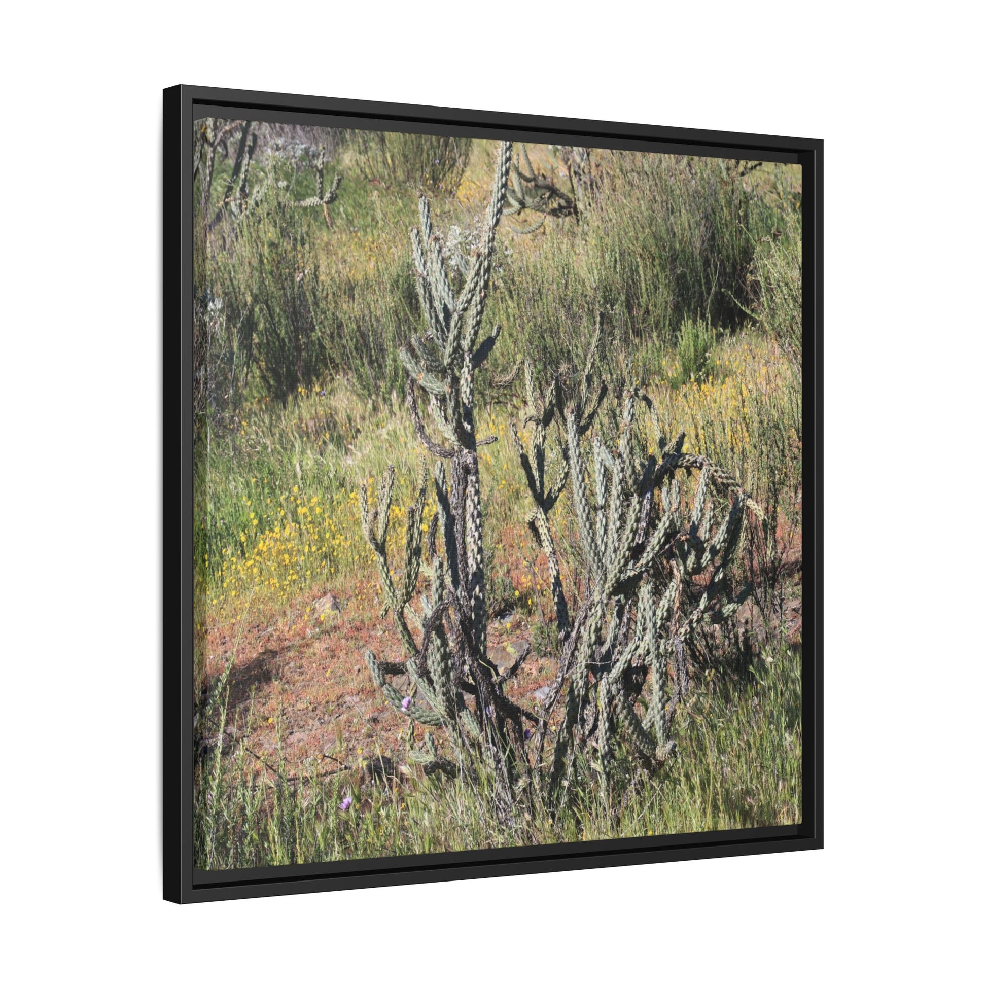Wildflower Meadow - Unique Stretched Canvas Wall Art - Art By Earth