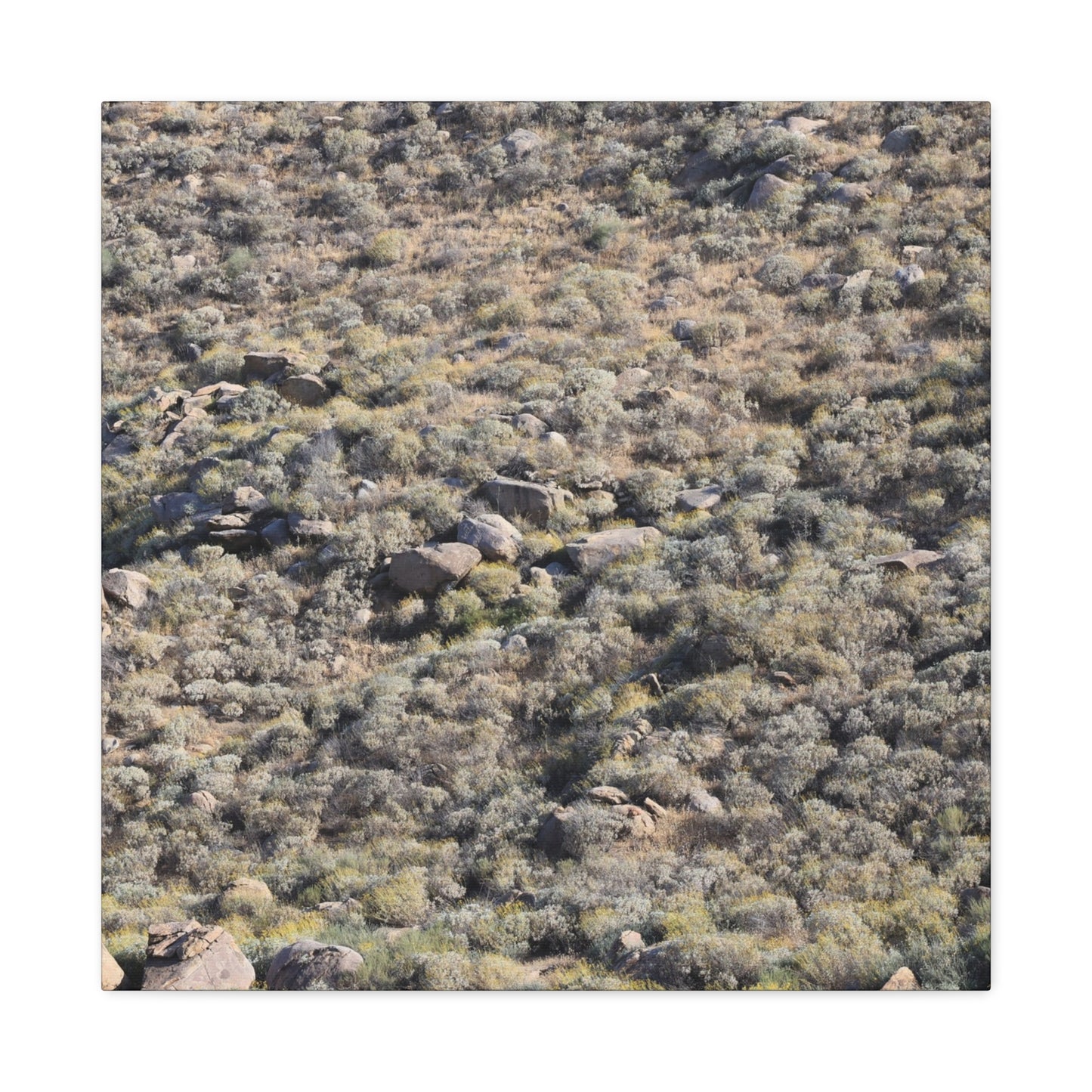 Desert Landscape with Scattered Rocks and Sage - Unique Frameless Canvas Wall Art - Art By Earth