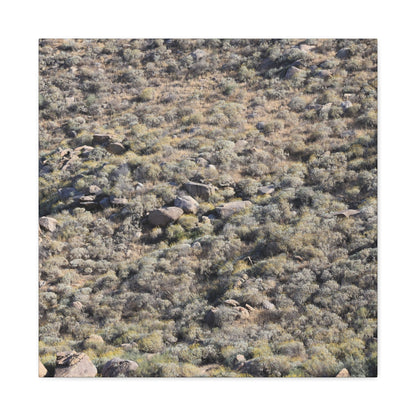 Desert Landscape with Scattered Rocks and Sage - Unique Frameless Canvas Wall Art - Art By Earth