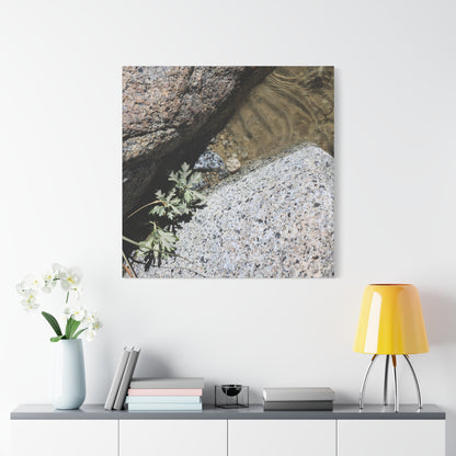Between Stone and Sand - Unique Frameless Canvas Wall Art - Art By Earth