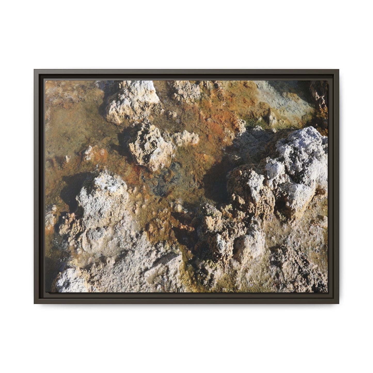 Textural Metamorphosis - Unique Stretched Canvas Wall Art