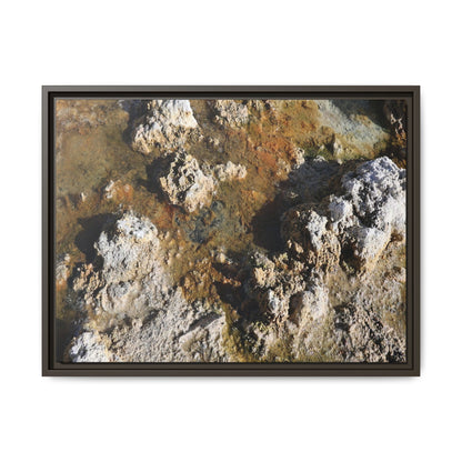 Textural Metamorphosis - Unique Stretched Canvas Wall Art