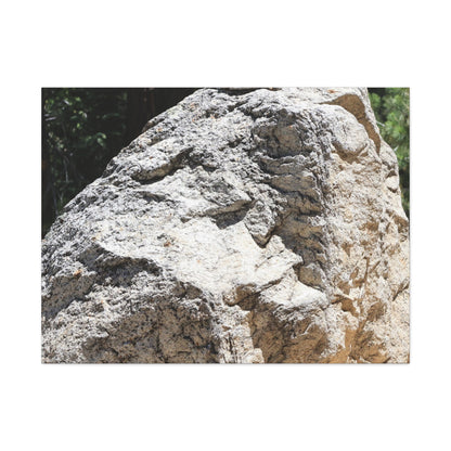 Stone of Solitude - Unique Frameless Canvas Wall Art - Art By Earth