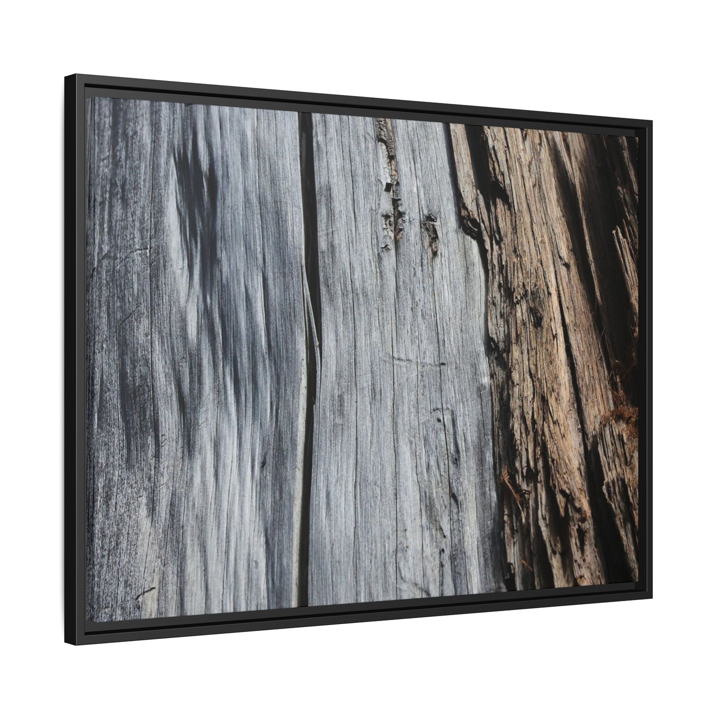 Wood's Lament - Unique Stretched Canvas Wall Art - Art By Earth