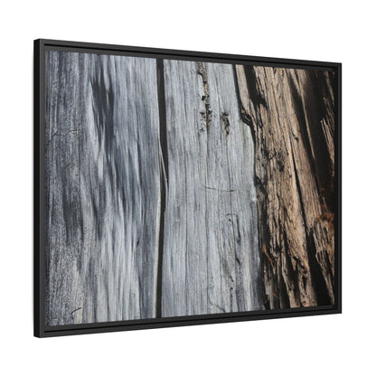 Wood's Lament - Unique Stretched Canvas Wall Art - Art By Earth