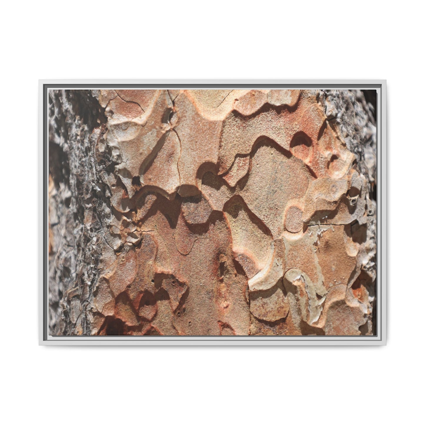 Rust and Stone - Unique Stretched Canvas Wall Art - Art By Earth