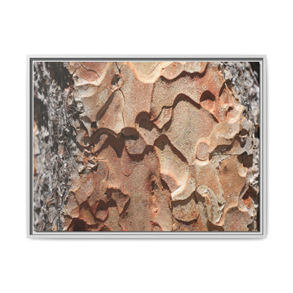 Rust and Stone - Unique Stretched Canvas Wall Art - Art By Earth