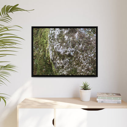 Lichen Landscape - Unique Stretched Canvas Wall Art - Art By Earth