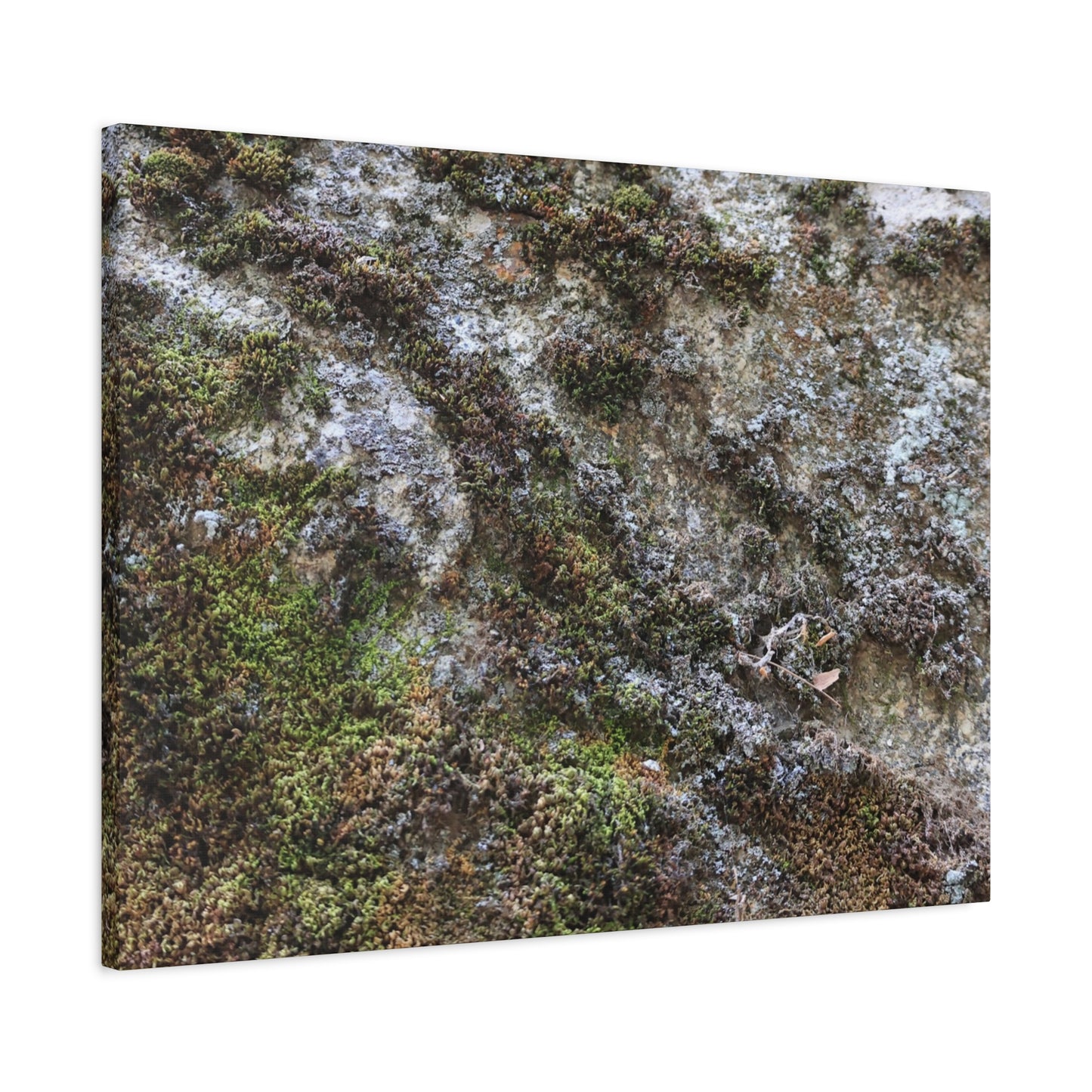 Moss Tapestry - Unique Frameless Canvas Wall Art - Art By Earth