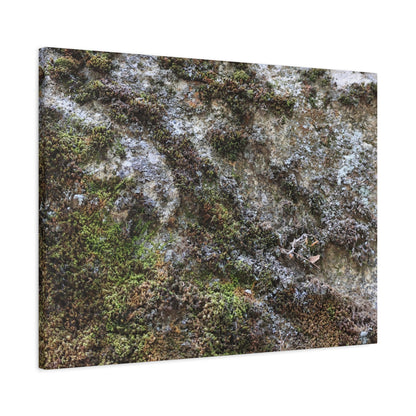 Moss Tapestry - Unique Frameless Canvas Wall Art - Art By Earth