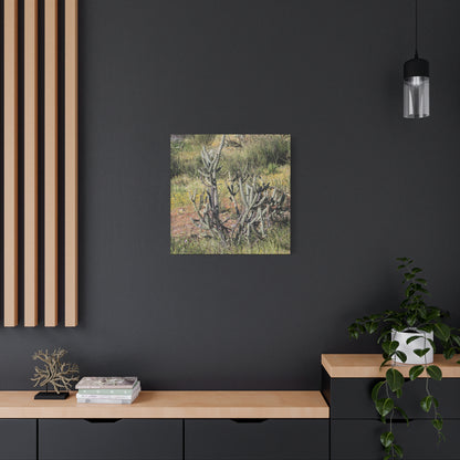 Desert Bloom in Shadow - Unique Frameless Canvas Wall Art - Art By Earth