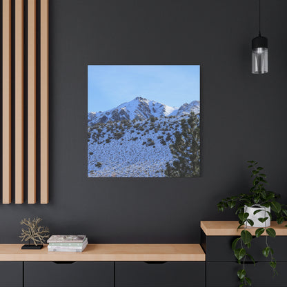 Snowy Peaks and Stoic Pines - Unique Frameless Canvas Wall Art