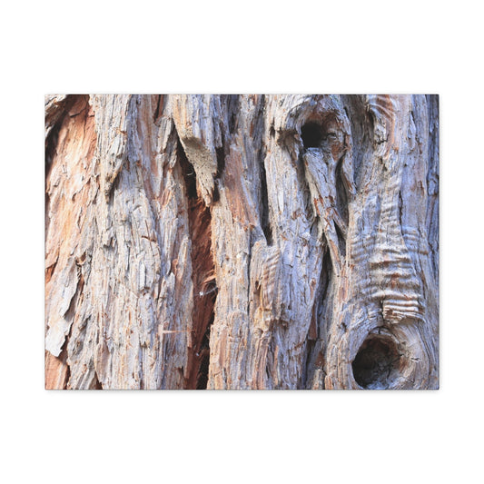 Aged Bark Surface - Unique Frameless Canvas Wall Art - Art By Earth
