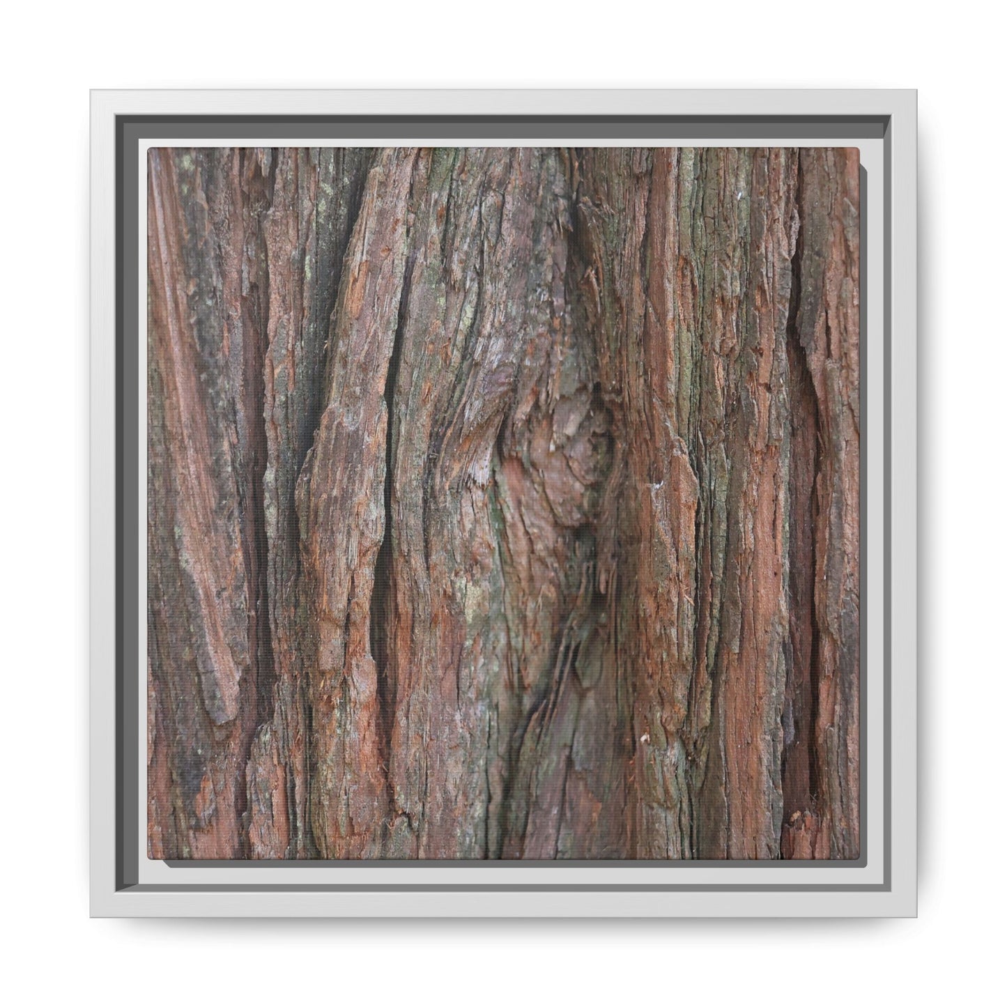 Rugged Textures - Unique Stretched Canvas Wall Art - Art By Earth