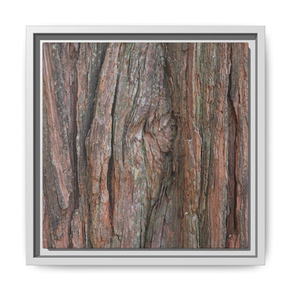 Rugged Textures - Unique Stretched Canvas Wall Art - Art By Earth