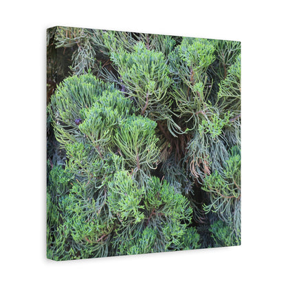 Green Labyrinth - Unique Frameless Canvas Wall Art - Art By Earth