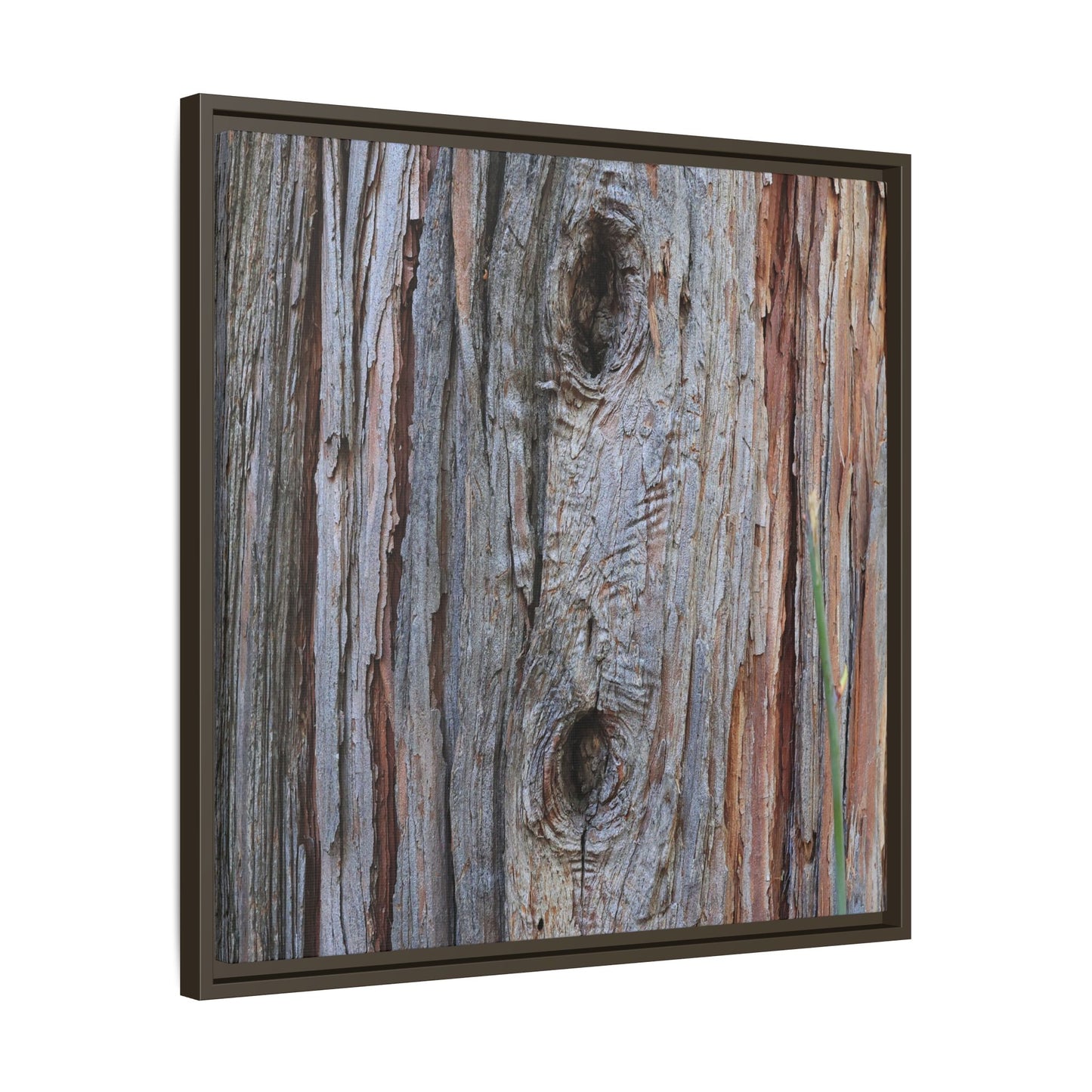 Knotty Nature - Unique Stretched Canvas Wall Art - Art By Earth