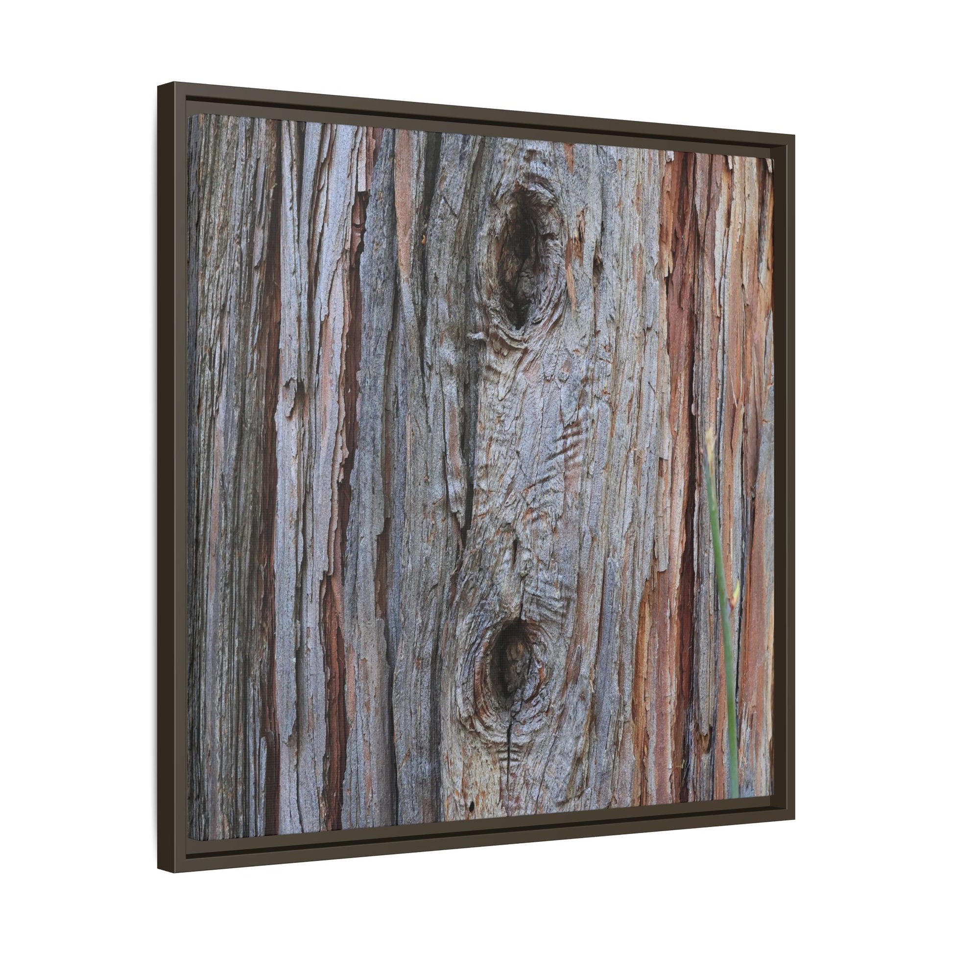 Knotty Nature - Unique Stretched Canvas Wall Art - Art By Earth