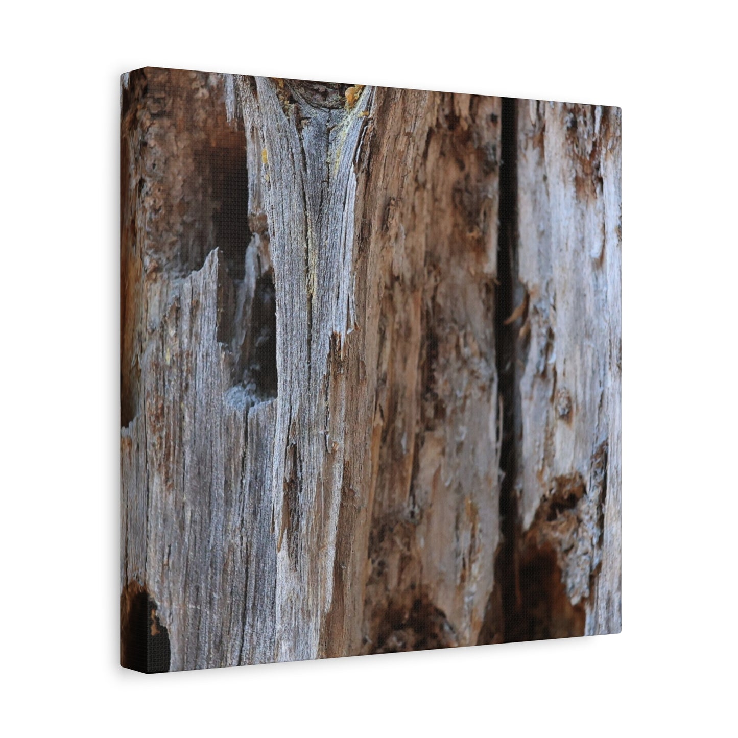 Timber Tapestry - Unique Frameless Canvas Wall Art - Art By Earth