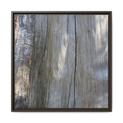 Cracked Timber Texture - Unique Stretched Canvas Wall Art