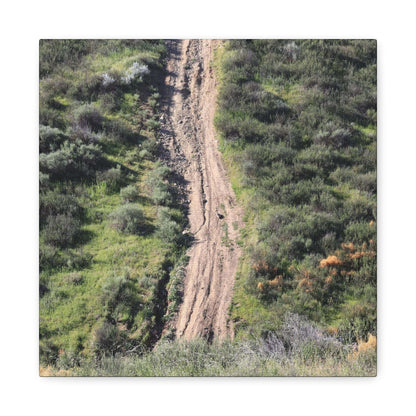Straight Road Cutting Through Wilderness - Unique Frameless Canvas Wall Art - Art By Earth
