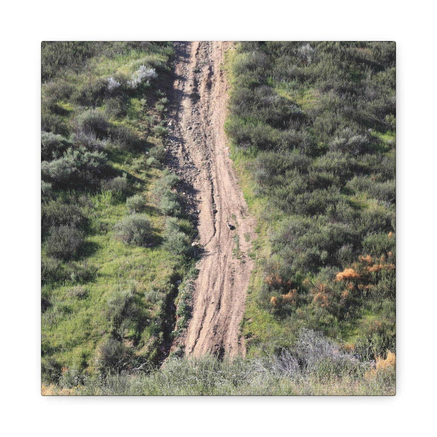 Straight Road Cutting Through Wilderness - Unique Frameless Canvas Wall Art - Art By Earth