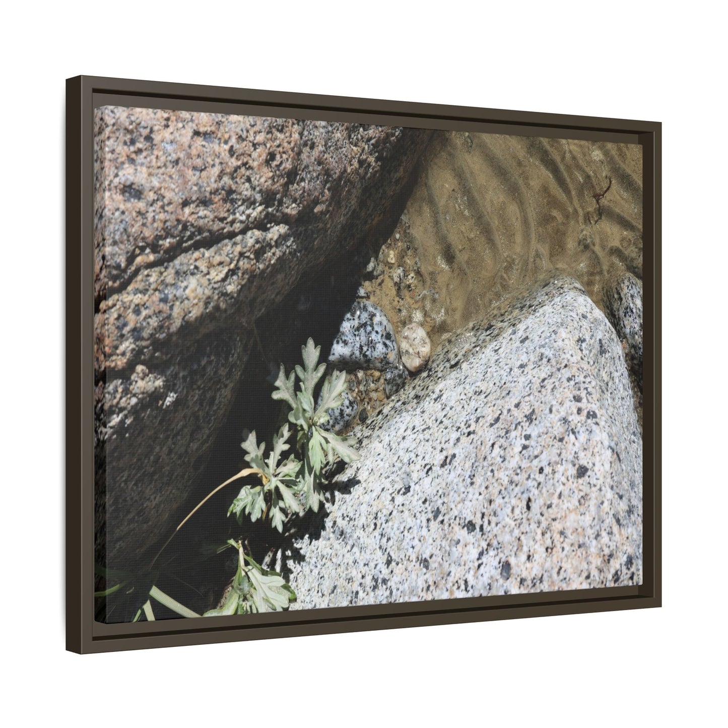 Resilience in Stone - Unique Stretched Canvas Wall Art - Art By Earth