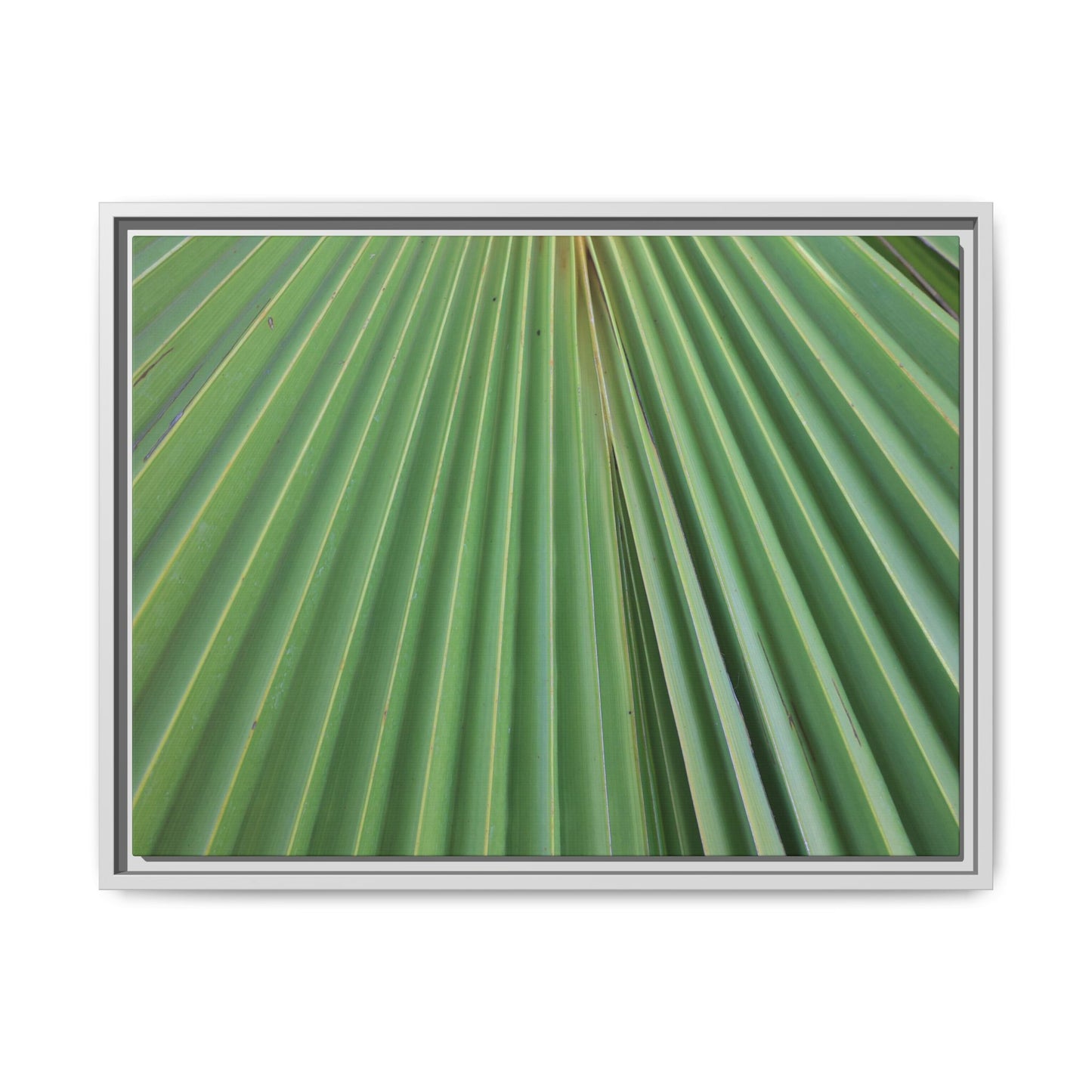 Verdant Veins - Unique Stretched Canvas Wall Art - Art By Earth