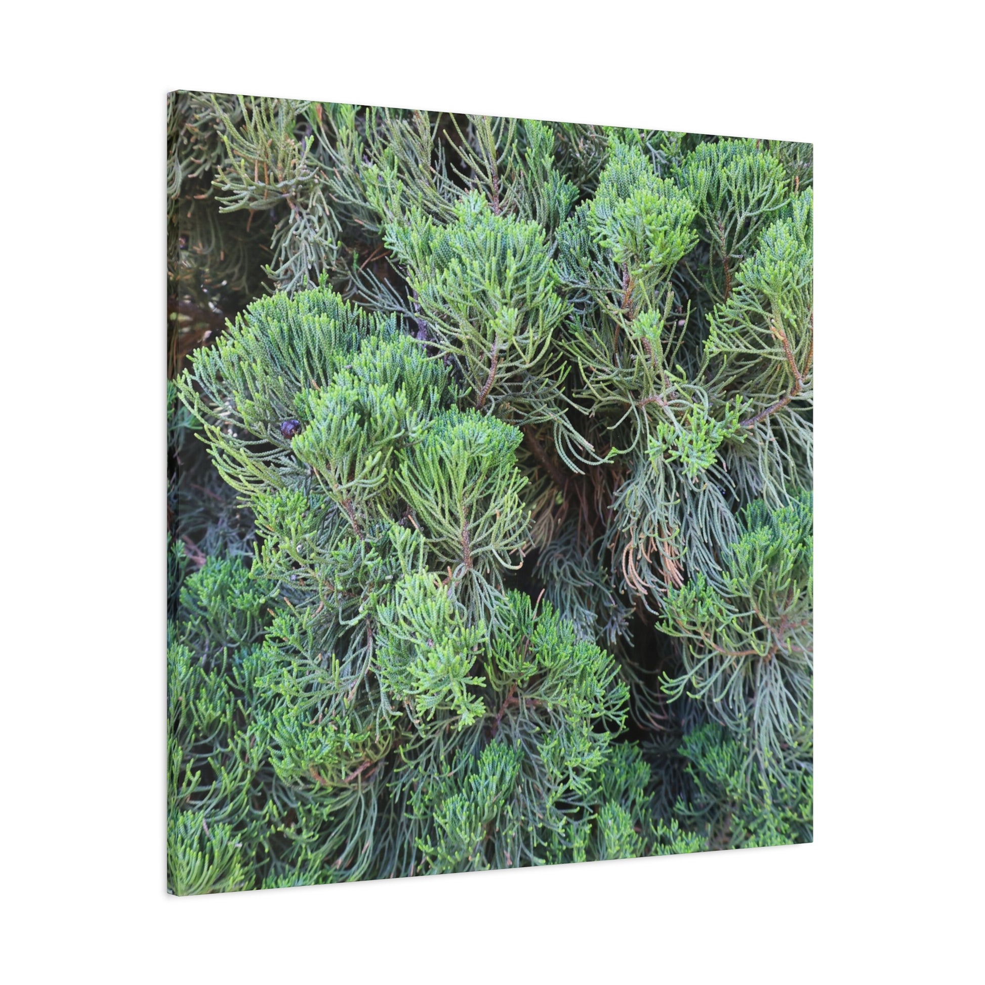 Green Labyrinth - Unique Frameless Canvas Wall Art - Art By Earth