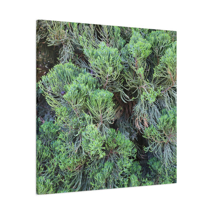 Green Labyrinth - Unique Frameless Canvas Wall Art - Art By Earth