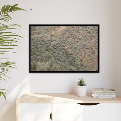 Arid Landscape with Winding Path - Unique Stretched Canvas Wall Art - Art By Earth
