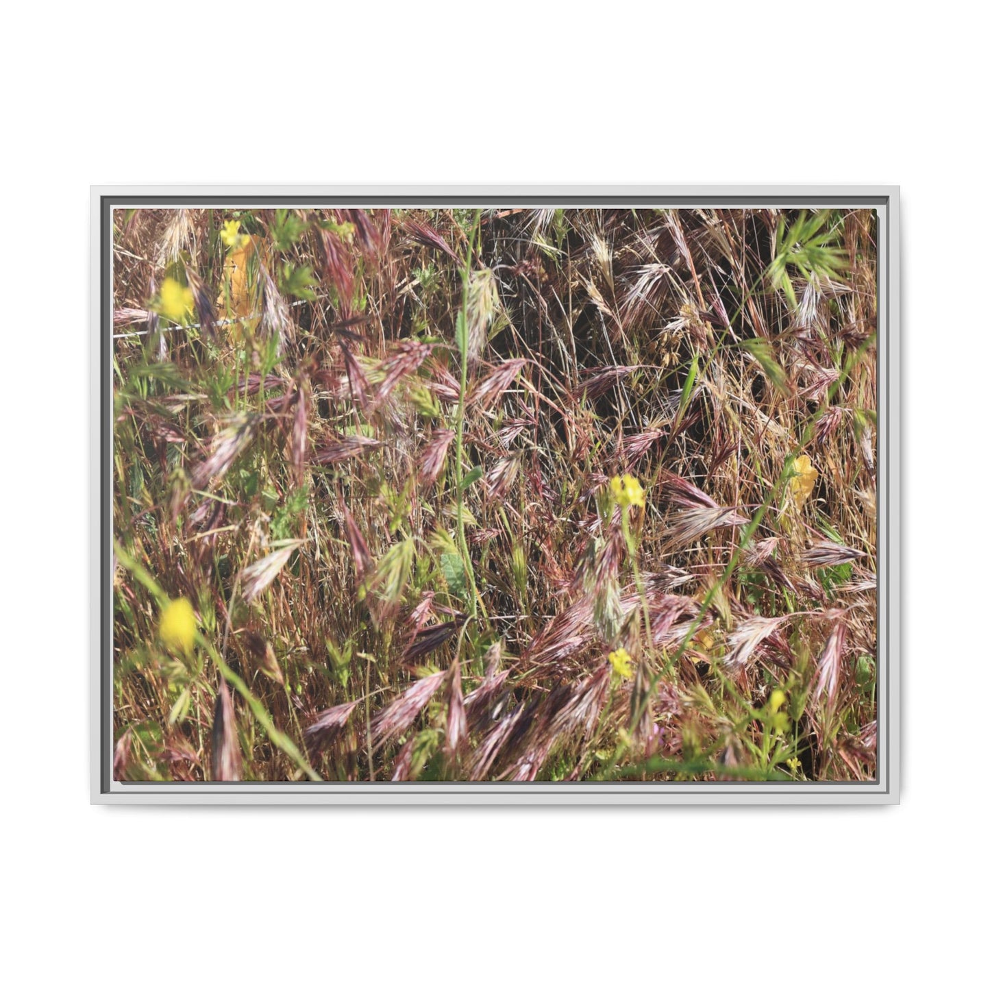 Autumn Meadow - Unique Stretched Canvas Wall Art - Art By Earth