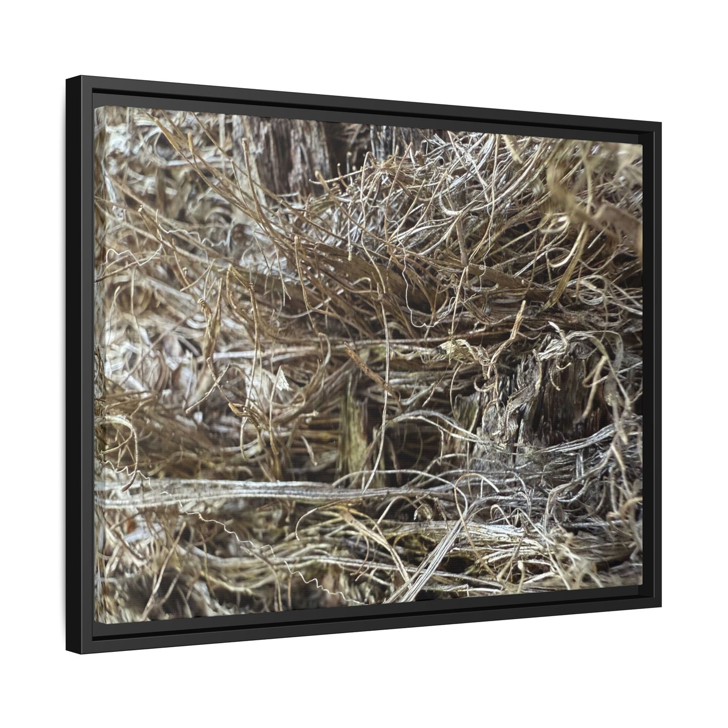 Tangled Whispers of Autumn - Unique Stretched Canvas Wall Art - Art By Earth