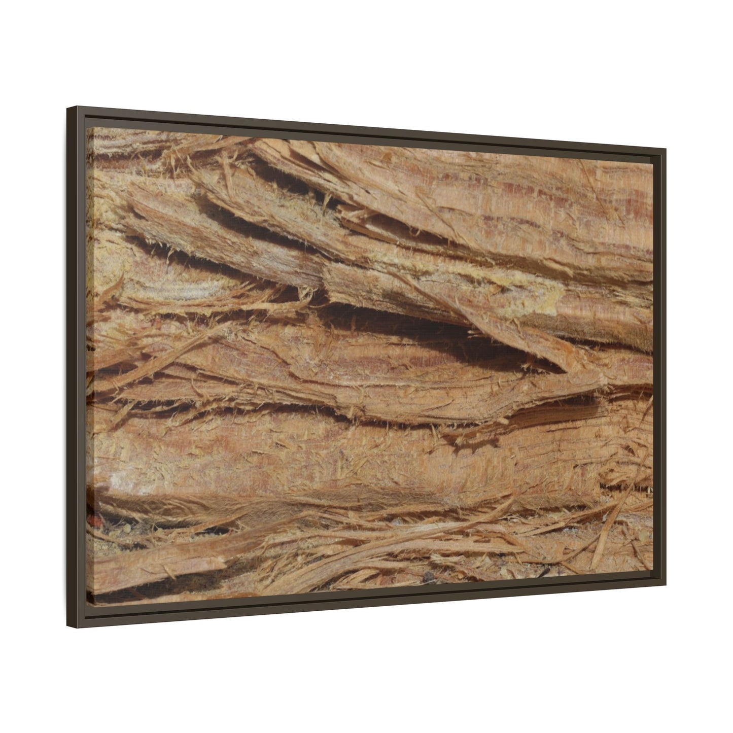 Splintered Bark - Unique Stretched Canvas Wall Art - Art By Earth