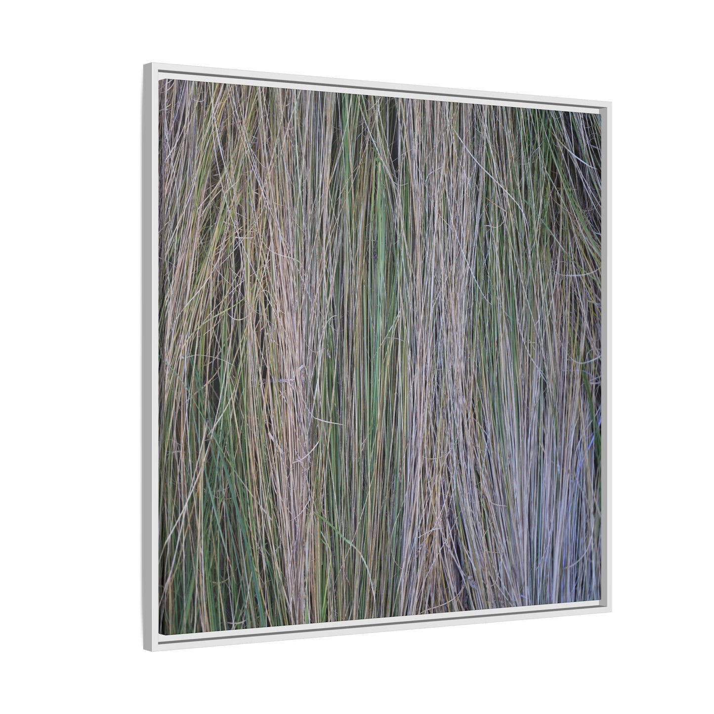 Whispers of Silver Grass - Unique Stretched Canvas Wall Art - Art By Earth