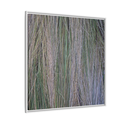 Whispers of Silver Grass - Unique Stretched Canvas Wall Art - Art By Earth