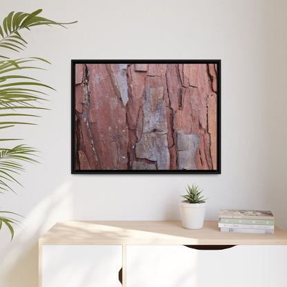 Peeling Bark - Unique Stretched Canvas Wall Art - Art By Earth