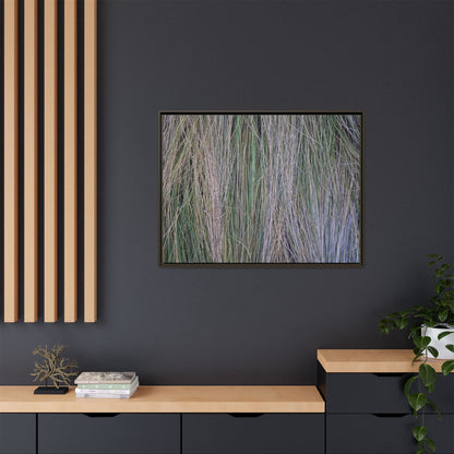 Whispers of Silver Grass - Unique Stretched Canvas Wall Art - Art By Earth