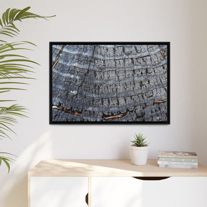 Charred Memories - Unique Stretched Canvas Wall Art - Art By Earth