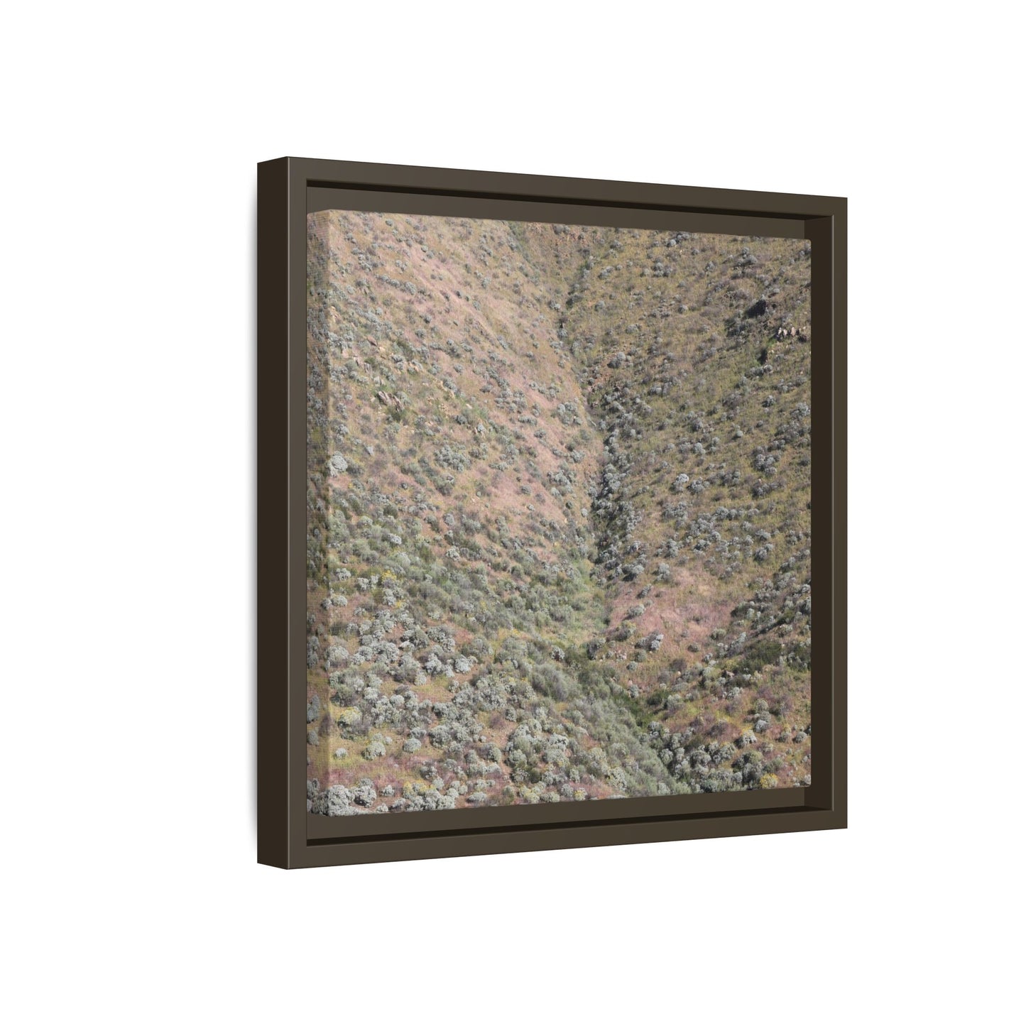 Mountain Slope with Desert Vegetation - Unique Stretched Canvas Wall Art - Art By Earth