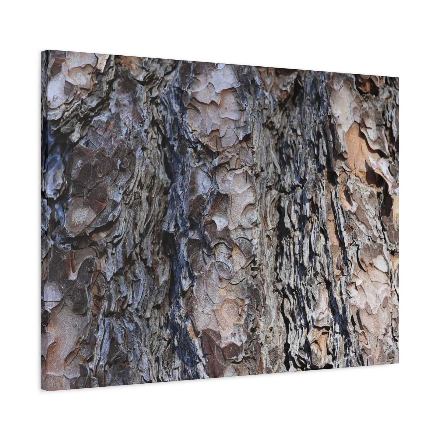 Bark's Rugged Symphony - Unique Frameless Canvas Wall Art - Art By Earth